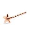 Star Silver Straight Nose Stud NSKA-813 